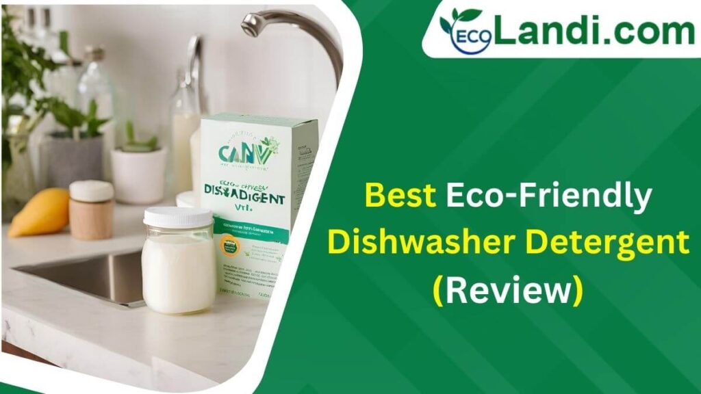 Best 05 Eco Friendly Dishwasher Detergent (Powders Review)